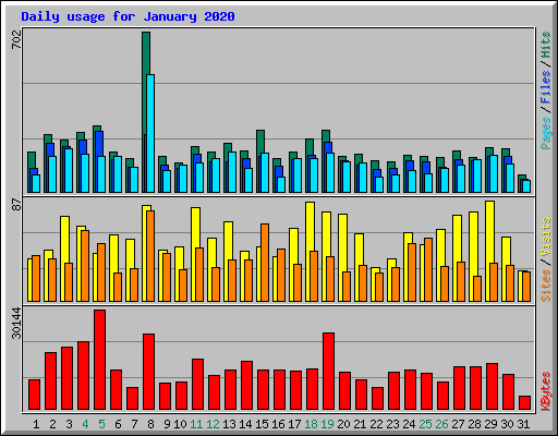 Daily usage for January 2020