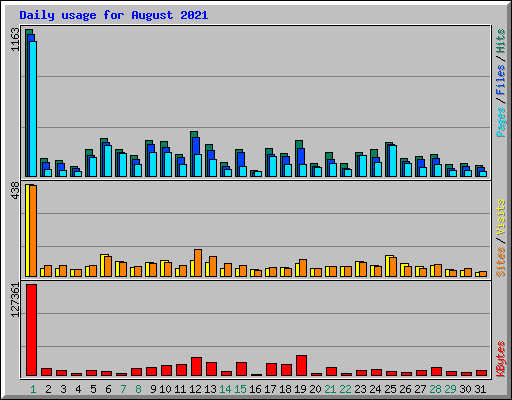 Daily usage for August 2021
