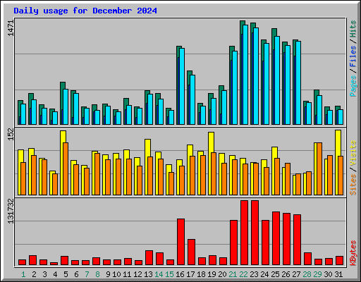 Daily usage for December 2024