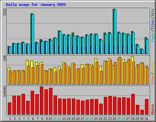 Daily usage for January 2025