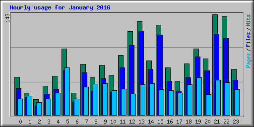Hourly usage for January 2016