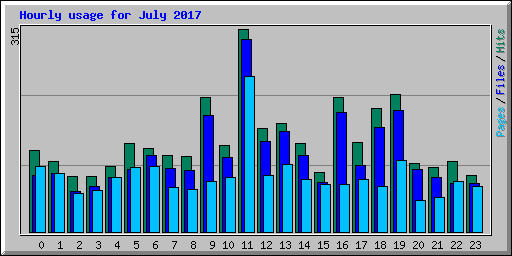 Hourly usage for July 2017