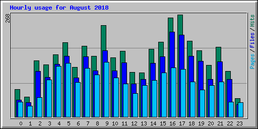 Hourly usage for August 2018