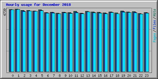 Hourly usage for December 2018