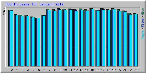 Hourly usage for January 2019