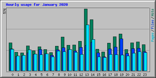 Hourly usage for January 2020