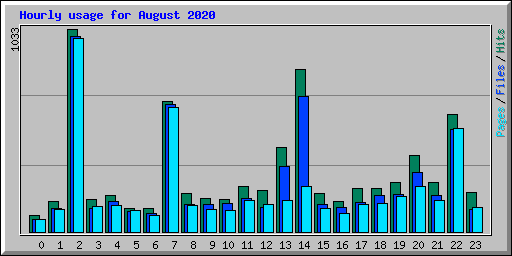 Hourly usage for August 2020