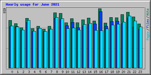 Hourly usage for June 2021