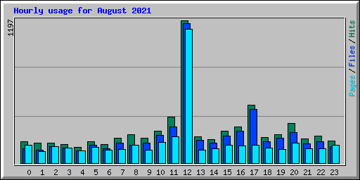 Hourly usage for August 2021