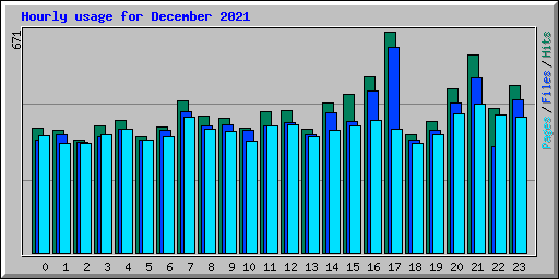 Hourly usage for December 2021
