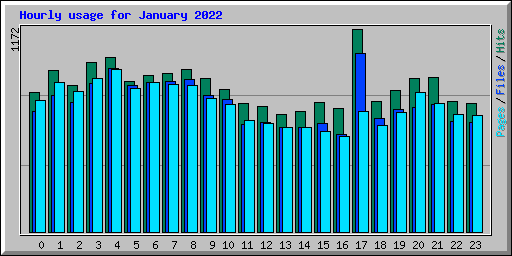 Hourly usage for January 2022