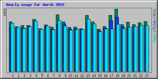 Hourly usage for March 2022