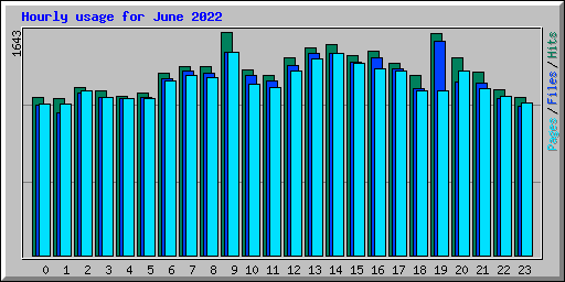 Hourly usage for June 2022