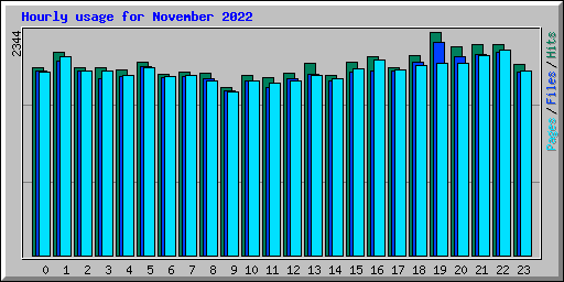 Hourly usage for November 2022