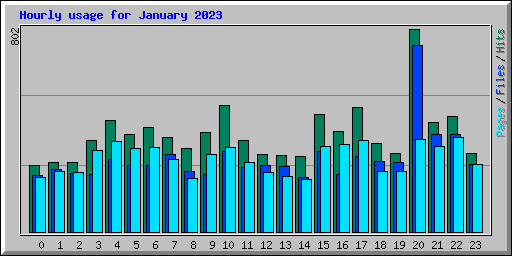 Hourly usage for January 2023