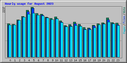 Hourly usage for August 2023