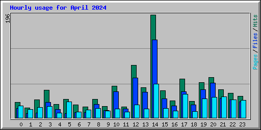 Hourly usage for April 2024