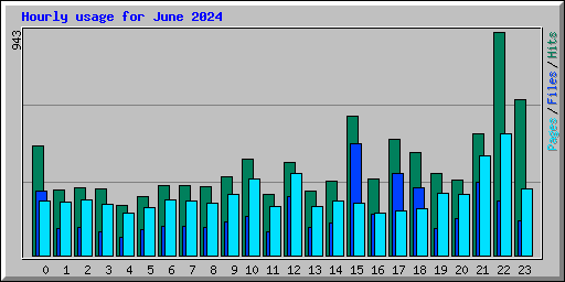 Hourly usage for June 2024