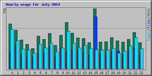 Hourly usage for July 2024