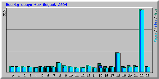 Hourly usage for August 2024