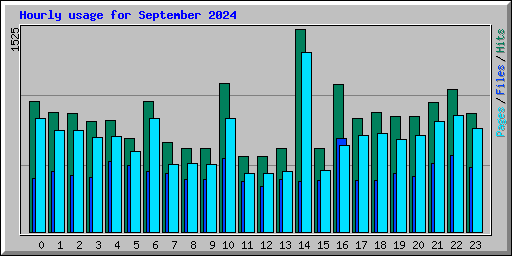Hourly usage for September 2024