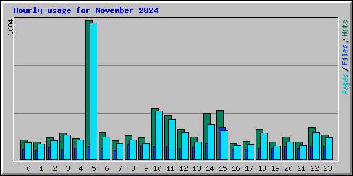 Hourly usage for November 2024