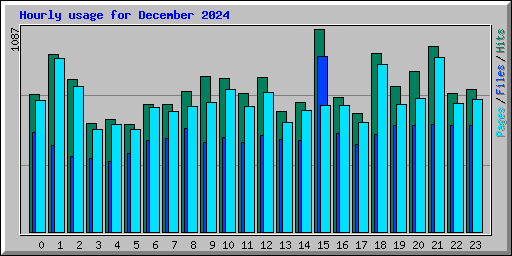 Hourly usage for December 2024