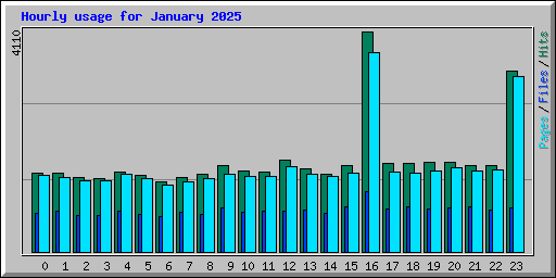 Hourly usage for January 2025