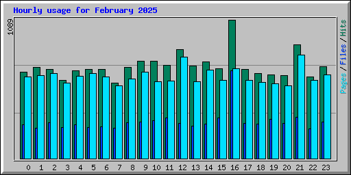 Hourly usage for February 2025