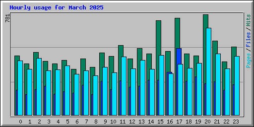 Hourly usage for March 2025