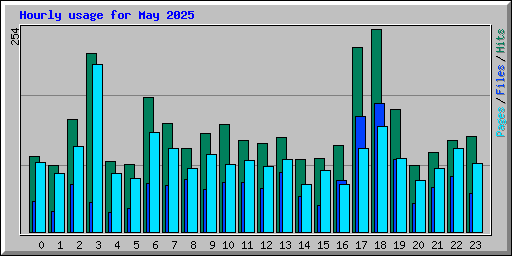 Hourly usage for May 2025