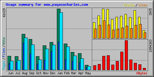 Usage summary for www.payasocharles.com